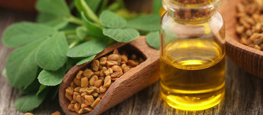 Can essential oils, like olive or fenugreek oil, help in breast enlargement?