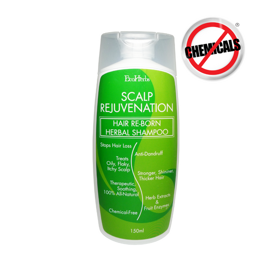 EcoHerbs Scalp Rejuvenation Signature Herbal Shampoo For Hair Loss, Hair Fall, Thinning Hair (For Men)